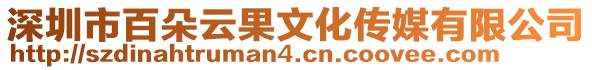 深圳市百朵云果文化傳媒有限公司