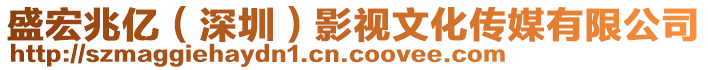 盛宏兆億（深圳）影視文化傳媒有限公司