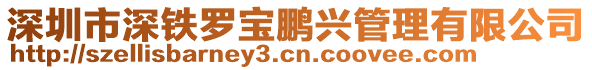 深圳市深鐵羅寶鵬興管理有限公司