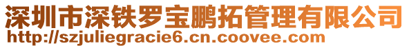 深圳市深鐵羅寶鵬拓管理有限公司