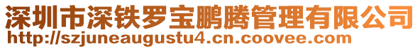 深圳市深鐵羅寶鵬騰管理有限公司