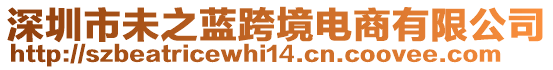 深圳市未之藍(lán)跨境電商有限公司