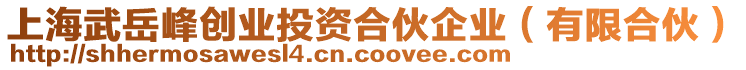 上海武岳峰創(chuàng)業(yè)投資合伙企業(yè)（有限合伙）