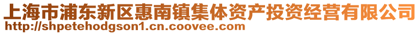 上海市浦東新區(qū)惠南鎮(zhèn)集體資產(chǎn)投資經(jīng)營有限公司