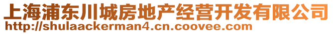 上海浦東川城房地產(chǎn)經(jīng)營開發(fā)有限公司