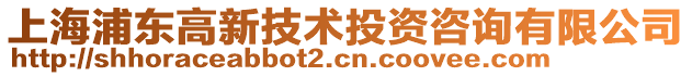 上海浦東高新技術(shù)投資咨詢(xún)有限公司