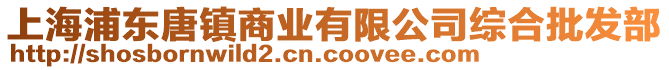 上海浦東唐鎮(zhèn)商業(yè)有限公司綜合批發(fā)部