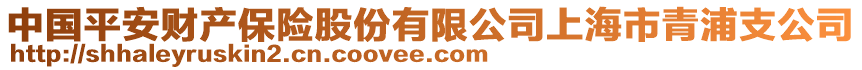 中国平安财产保险股份有限公司上海市青浦支公司