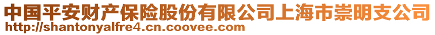 中国平安财产保险股份有限公司上海市崇明支公司