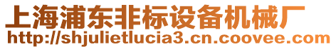 上海浦東非標(biāo)設(shè)備機(jī)械廠