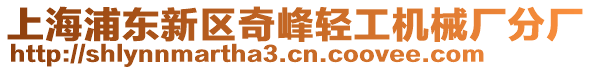 上海浦東新區(qū)奇峰輕工機(jī)械廠分廠