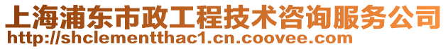 上海浦東市政工程技術(shù)咨詢服務(wù)公司