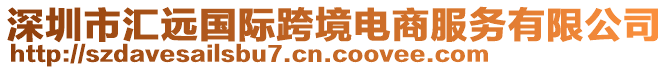 深圳市匯遠(yuǎn)國際跨境電商服務(wù)有限公司