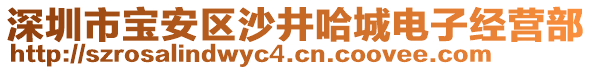 深圳市寶安區(qū)沙井哈城電子經(jīng)營部