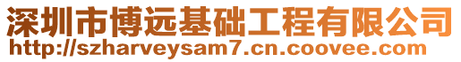 深圳市博遠基礎(chǔ)工程有限公司