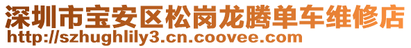 深圳市寶安區(qū)松崗龍騰單車維修店