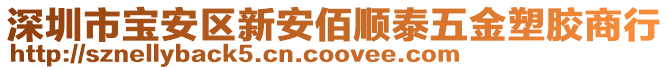 深圳市寶安區(qū)新安佰順泰五金塑膠商行