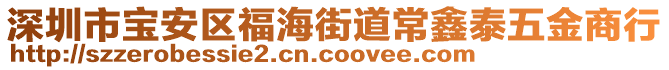 深圳市寶安區(qū)福海街道常鑫泰五金商行