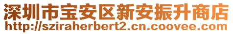 深圳市寶安區(qū)新安振升商店