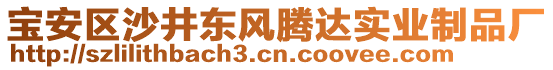 寶安區(qū)沙井東風(fēng)騰達(dá)實(shí)業(yè)制品廠