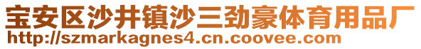 寶安區(qū)沙井鎮(zhèn)沙三勁豪體育用品廠