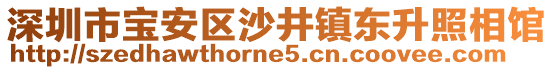 深圳市寶安區(qū)沙井鎮(zhèn)東升照相館