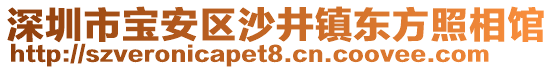 深圳市寶安區(qū)沙井鎮(zhèn)東方照相館