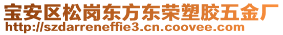 寶安區(qū)松崗東方東榮塑膠五金廠