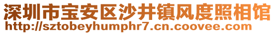 深圳市寶安區(qū)沙井鎮(zhèn)風度照相館