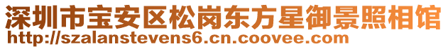 深圳市寶安區(qū)松崗東方星御景照相館