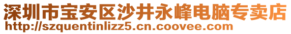 深圳市寶安區(qū)沙井永峰電腦專賣店