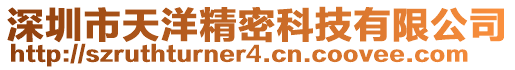 深圳市天洋精密科技有限公司