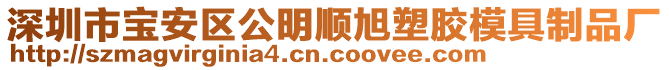 深圳市寶安區(qū)公明順旭塑膠模具制品廠