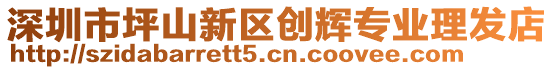 深圳市坪山新區(qū)創(chuàng)輝專業(yè)理發(fā)店