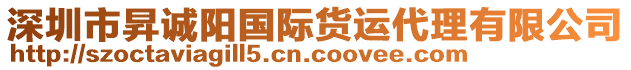 深圳市昇誠(chéng)陽國(guó)際貨運(yùn)代理有限公司