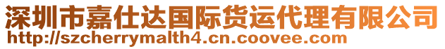 深圳市嘉仕達(dá)國際貨運(yùn)代理有限公司