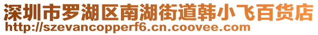 深圳市羅湖區(qū)南湖街道韓小飛百貨店