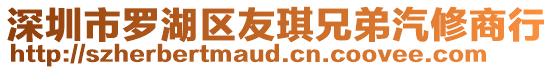 深圳市羅湖區(qū)友琪兄弟汽修商行