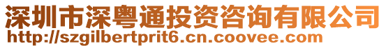 深圳市深粵通投資咨詢有限公司