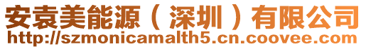 安袁美能源(深圳)有限公司