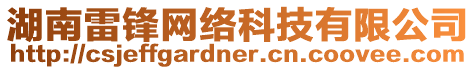 湖南雷鋒網絡科技有限公司