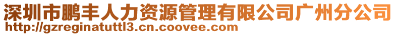 深圳市鵬豐人力資源管理有限公司廣州分公司