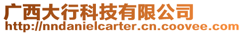 廣西大行科技有限公司