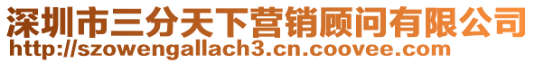 深圳市三分天下營銷顧問有限公司