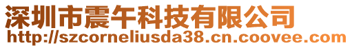 深圳市震午科技有限公司