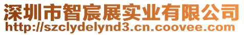 深圳市智宸展實業(yè)有限公司