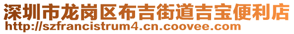 深圳市龍崗區(qū)布吉街道吉寶便利店