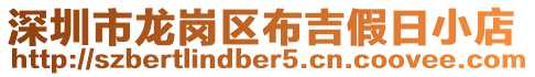 深圳市龍崗區(qū)布吉假日小店