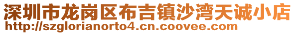 深圳市龍崗區(qū)布吉鎮(zhèn)沙灣天誠(chéng)小店