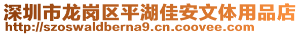 深圳市龍崗區(qū)平湖佳安文體用品店